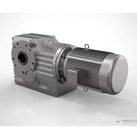 GK系列減速電機(jī)